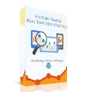 Visitor Traffic Real Time Statistics Pro 11.9.1